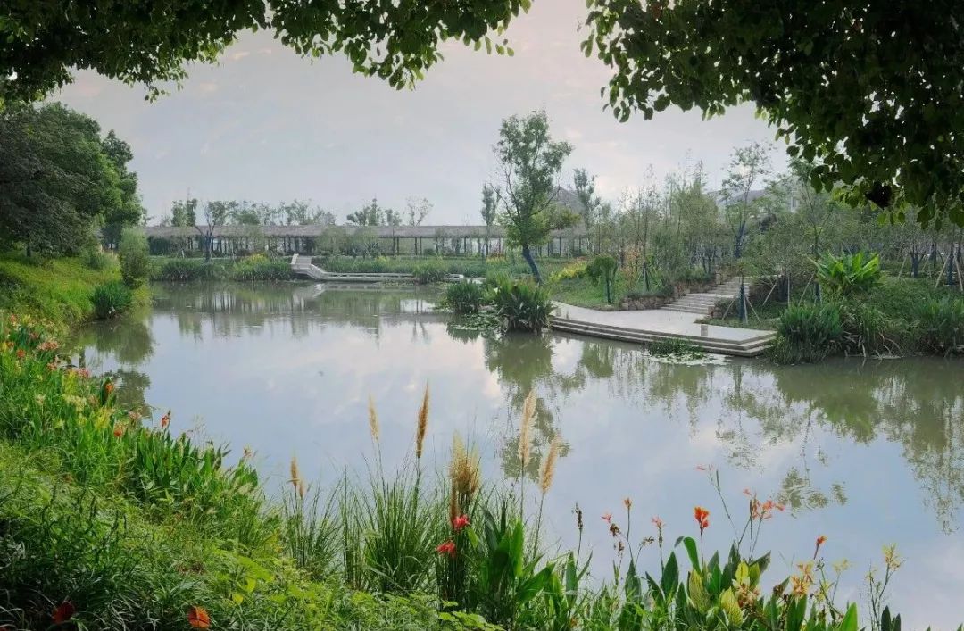 杭州兰里公园图片